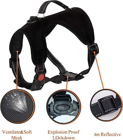 Dog Harness and Leash Set – Premium Set with No Pull Dog Harness and Dog