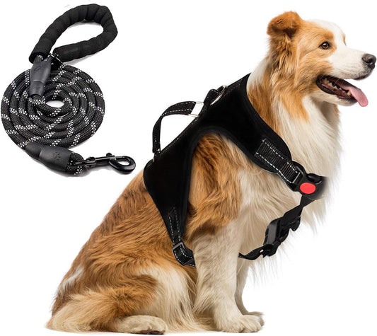 Dog Harness and Leash Set – Premium Set with No Pull Dog Harness and Dog