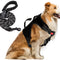 Dog Harness and Leash Set – Premium Set with No Pull Dog Harness and Dog