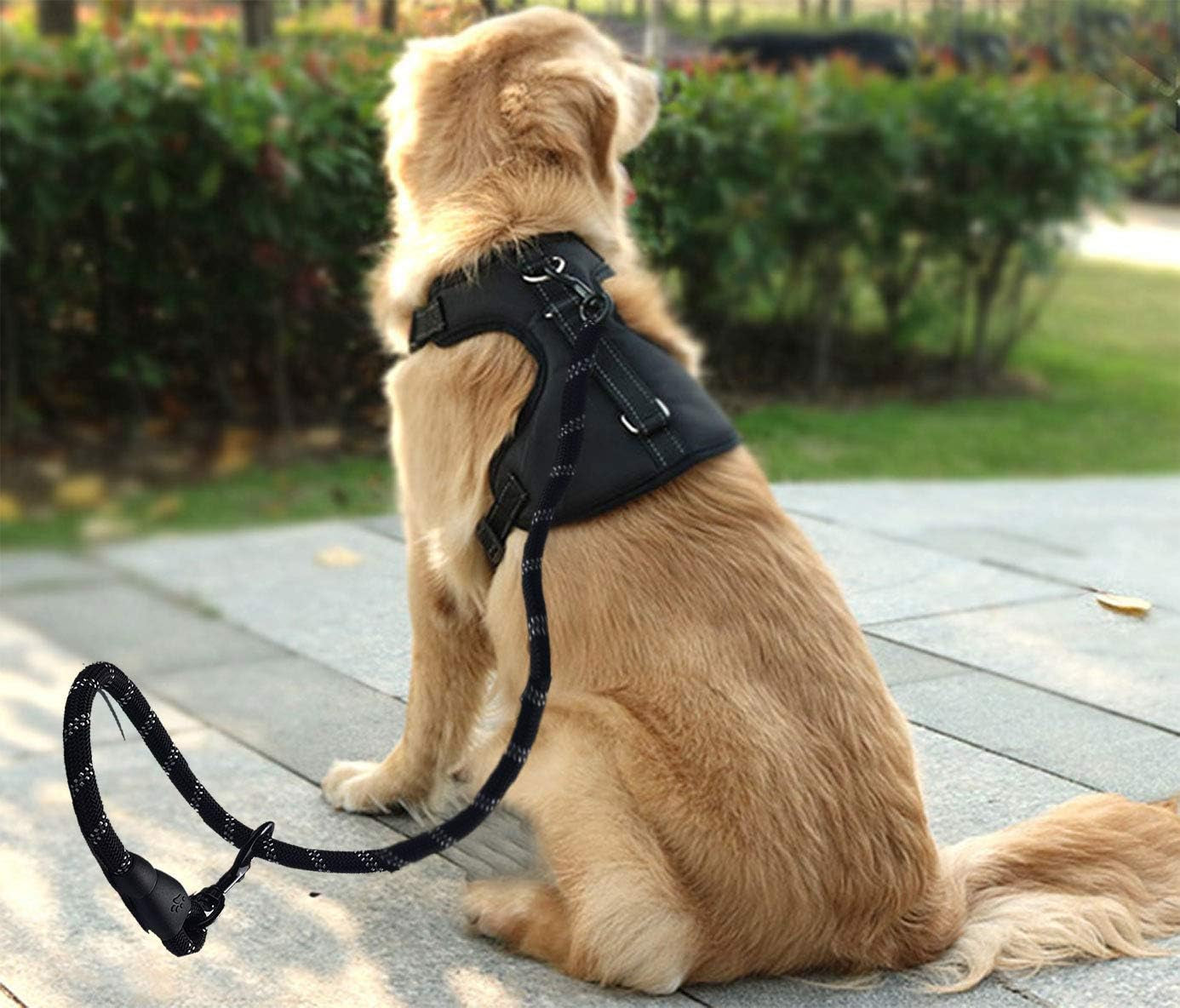 Dog Harness and Leash Set – Premium Set with No Pull Dog Harness and Dog